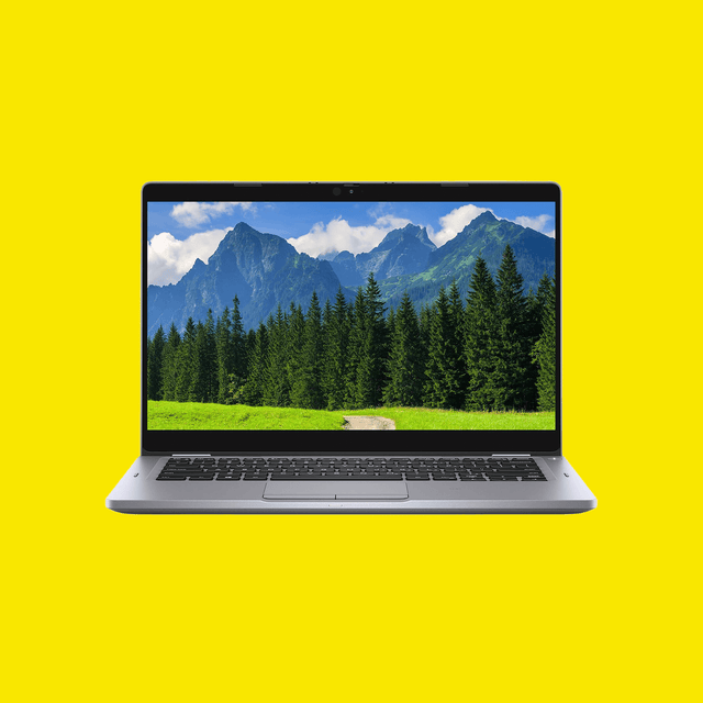 Dell Latitude 13 (5310) 2-in-1